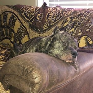 Meet your Posher, Joel